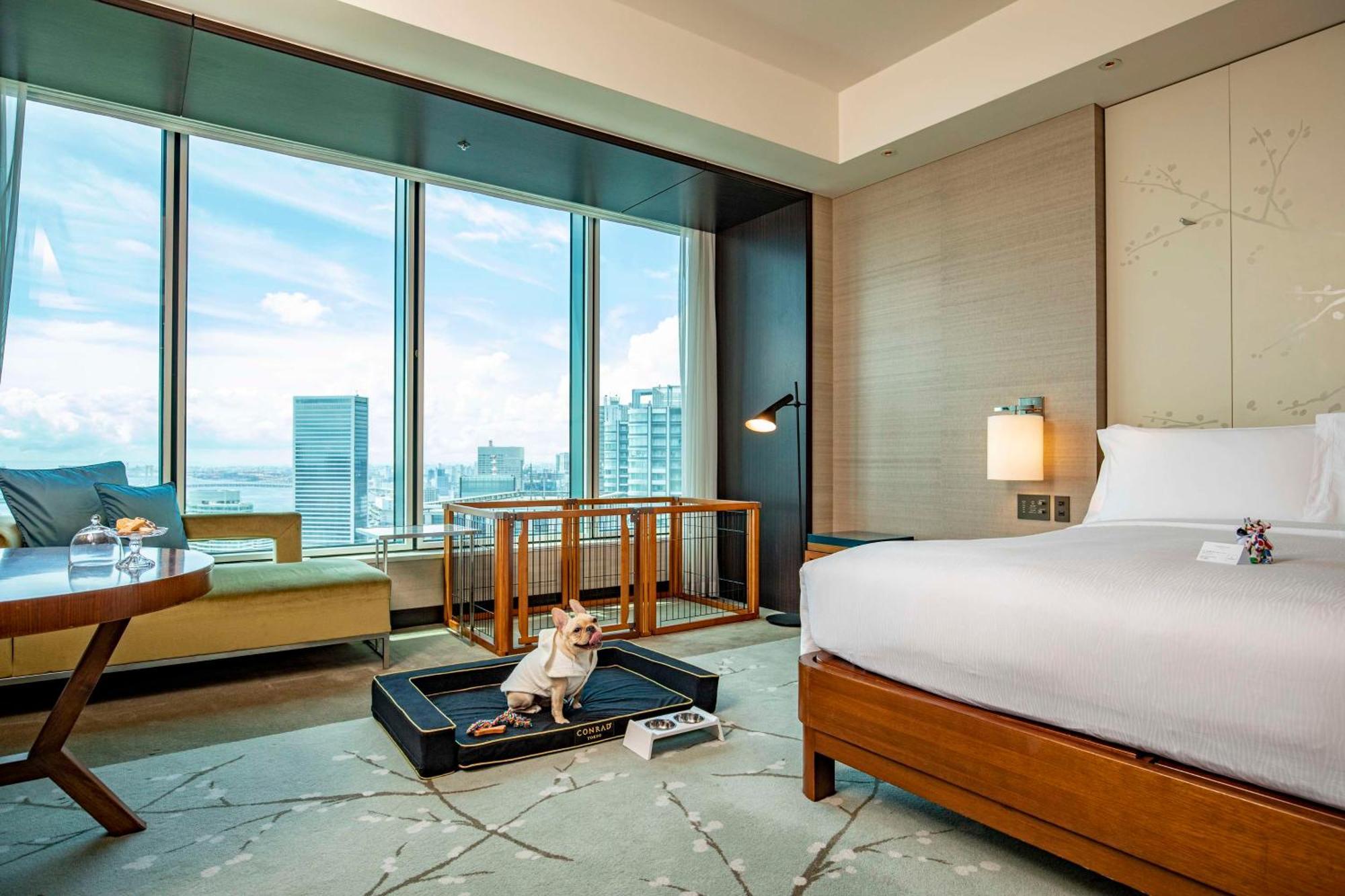 Conrad Hotel