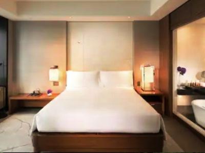 Hotel Conrad 5*